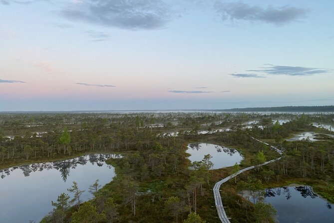 From Riga: Kemeri Bog Boardwalk and Jurmala Seaside - Kemeri Bog Boardwalk: A Unique Wetland Walk