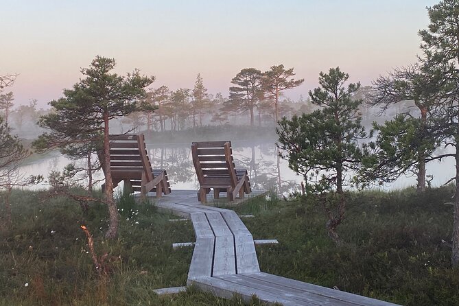 From Riga: Kemeri Bog Boardwalk and Jurmala Seaside - Climbing Dzintari Forest Park’s Viewing Tower