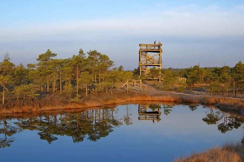From Riga: Kemeri National Park and Kuldiga Tour - Kemeri Bog Boardwalk: Latvia’s Natural Marvel