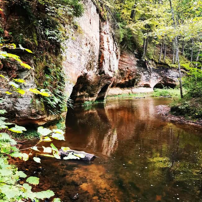 From Riga: Ligatne Village and Gauja River National Park - Guided Walks through Natural Forests and Caves