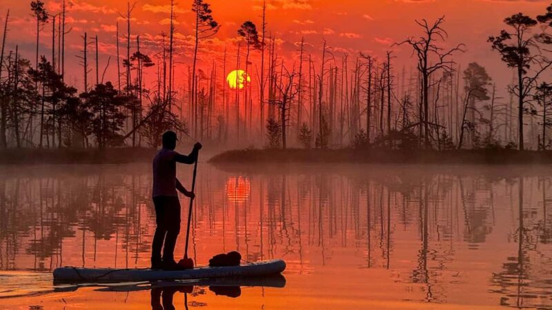 From Riga: Sunrise SUP Tour with Pick-Up at Cenas Trelis - Key Points