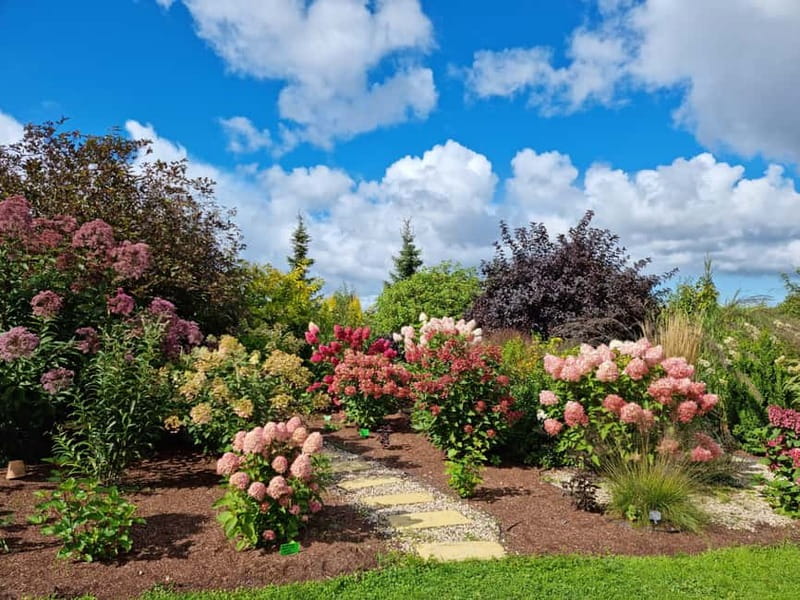 From Riga: Vidzeme Coast Half-Day Trip with Lunch - Key Points