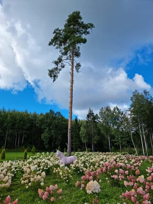 From Riga: Vidzeme Coast Half-Day Trip with Lunch - Optional Visits to Birini and Igate Castles