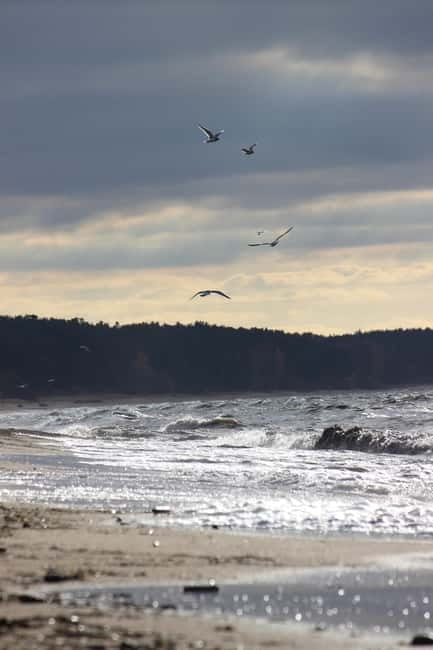 From Riga: Vidzeme Coast Half-Day Trip with Lunch - Practical Tips for the Tour: Weather, Footwear, and Photos