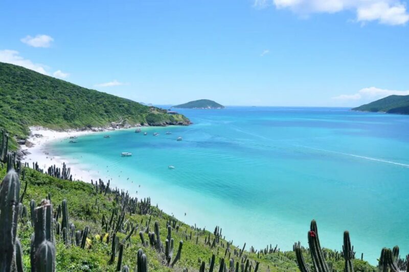 From Rio de Janeiro: Arraial do Cabo Island Day Trip - Marine Life and Underwater Attractions