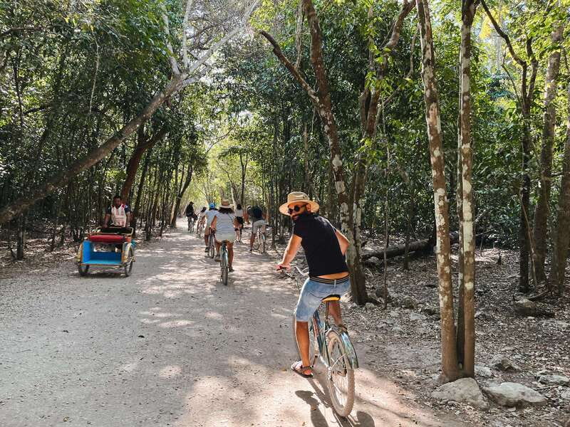 From Riviera Maya: Coba, Punta Laguna & Cenote Guided Trip - Wildlife and Adventure at Punta Laguna Reserve