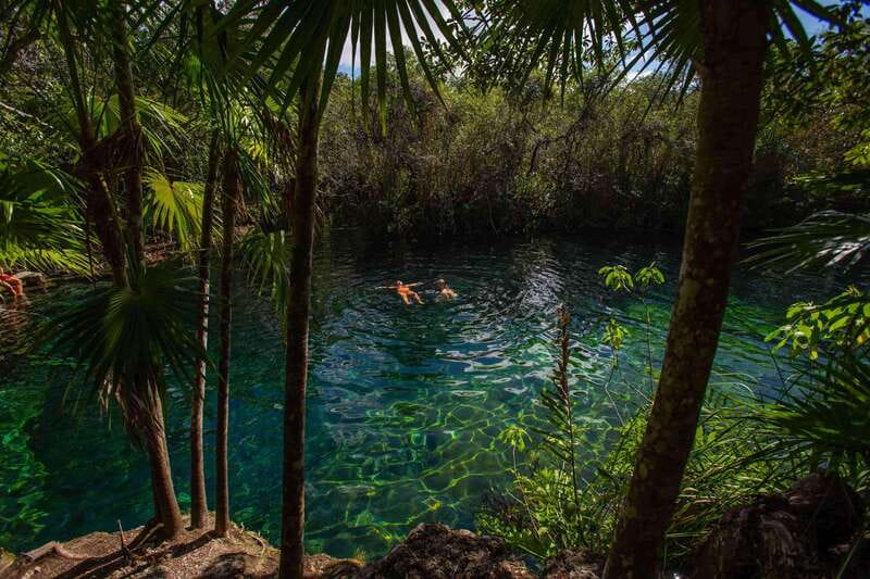 From Riviera Maya: Private Temazcal Ceremony & Cenote swim - Sampling Regional Delicacies and Fresh Fruits