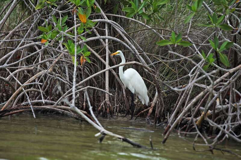 From Riviera Maya: Sian Ka'an Half Day Tour w/ Lunch - Discover the Unique Landscape of Sian Kaan