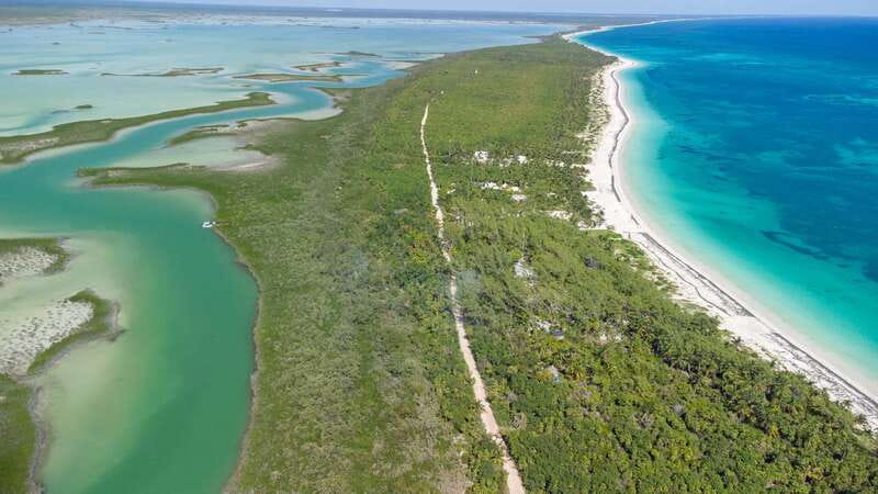 From Riviera Maya: Sian Ka'an Half Day Tour w/ Lunch - Visiting an Open Cenote as an Alternative