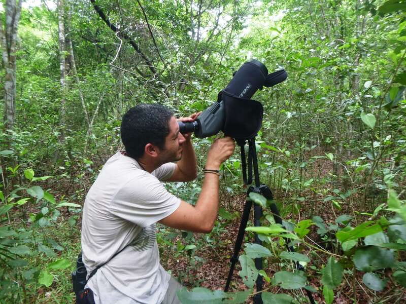 From Riviera Maya : Sian Ka'an Muyil Birdwatching with Guide - Discover the Rich Birdlife and Mayan Culture in Sian Kaan and Muyil