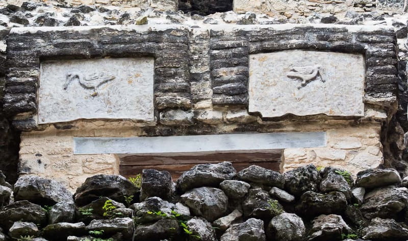 From Riviera Maya : Sian Ka'an Muyil Birdwatching with Guide - Physical Demands and Accessibility