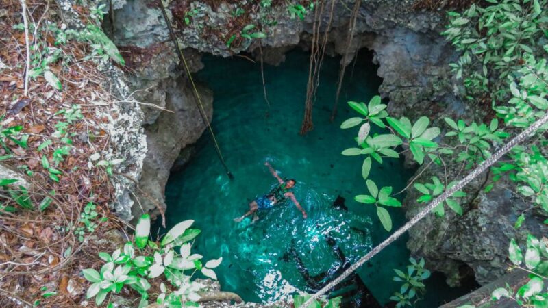 From Riviera Maya: Snorkeling & Private Cenote Half-Day Tour - Return to Tulum and Drop-Off