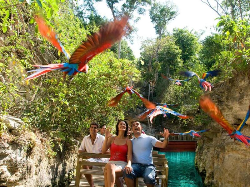 From Riviera Maya: Xcaret Park All-Inclusive - Key Points