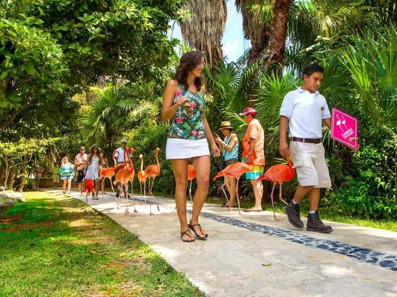 From Riviera Maya: Xcaret Park All-Inclusive - Exploring the Main Attractions at Xcaret Park