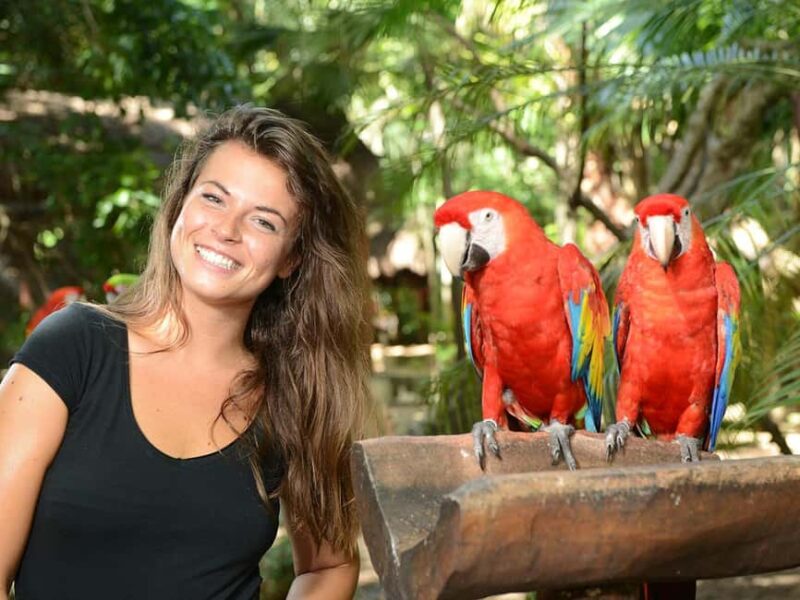 From Riviera Maya: Xcaret Park All-Inclusive - Who Should Consider This Tour