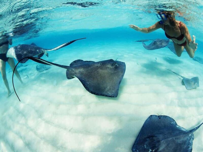 From Riviera Maya: Xcaret Park Plus, the complete experience - Exploring Xcaret Park’s Natural Pools and Beaches