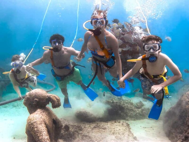 From Riviera Maya: Xcaret Park Plus, the complete experience - Access to Cultural and Wildlife Attractions