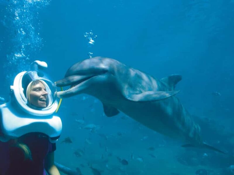 From Riviera Maya: Xel-Há All-Inclusive Park - Nature Trails, Bicycles, and Relaxation Areas