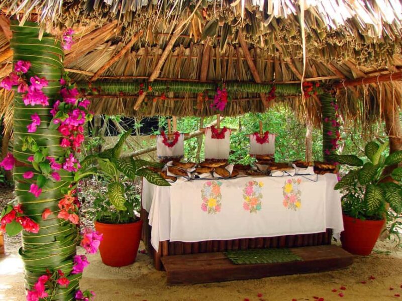 From Riviera Maya: Xel-Há All-Inclusive Park - Food and Drink: Mexican Cuisine and Unlimited Beverages