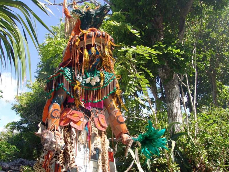 From Riviera Maya: Xel-Há All-Inclusive Park - Accessibility and Equipment for a Smooth Experience