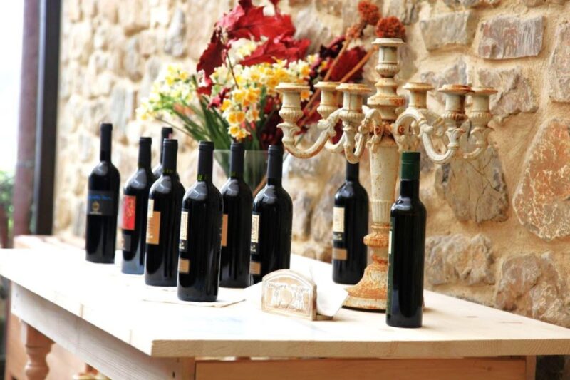 From Rome: Bagnoregio & Orvieto Day Trip with Wines & Lunch - Logistics, Accessibility, and Practical Tips