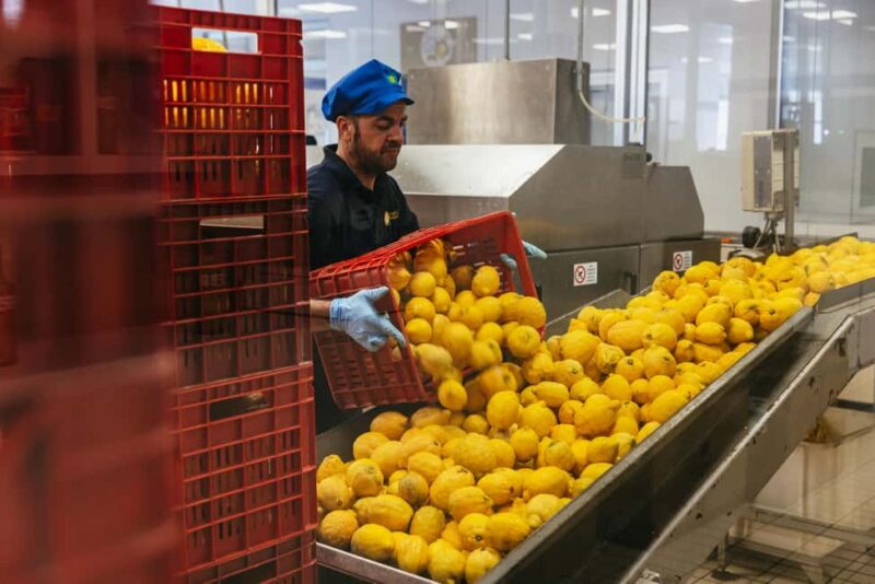 From Rome: Best of Pompeii Guided Tour and Sorrento Day Trip - Limoncello Tasting and Local Culture in Sorrento