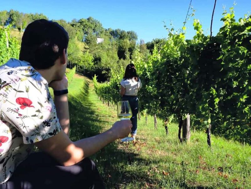 From Rome: Cantina Le Macchie Winery Tour and Tasting - Discover Cantina Le Macchies Historic Cellar in Castelfranco