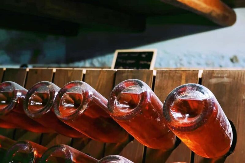 From Rome: Cantina Le Macchie Winery Tour and Tasting - Logistics and Group Experience