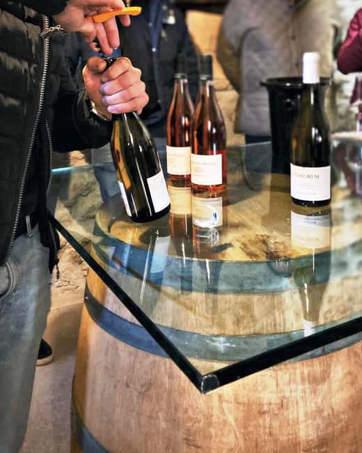 From Rome: Cantina Le Macchie Winery Tour and Tasting - Pricing and Value for Money
