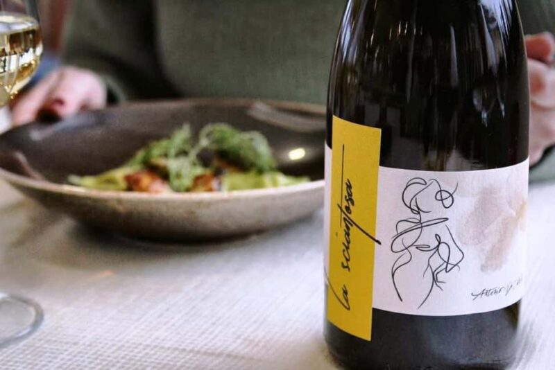 From Rome: Cantina Le Macchie Winery Tour and Tasting - Flexibility with Cancellation