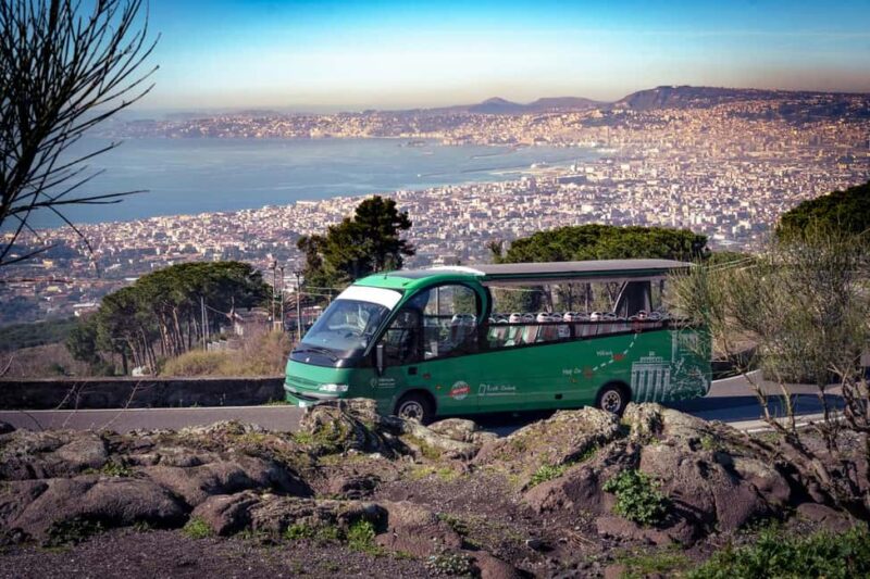 From Rome Day trip: Pompeii and Vesuvius at your leisure - Considerations and Limitations of the Tour