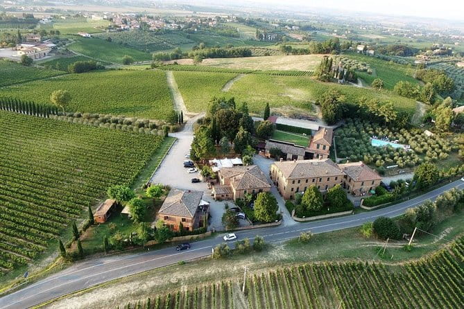 From Rome: Day Trip to Tuscany & Siena with lunch & Wine Tasting - Wine and Olive Oil Tasting in Chianti’s Vineyards