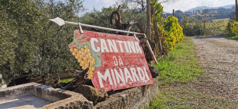 From Rome: Half-Day Frascati Wine Tour with Farmhouse Lunch - Tasting Boutique Wines and Extra Virgin Olive Oil