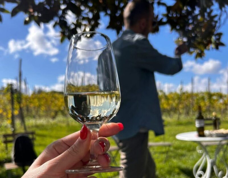 From Rome: Half-Day Frascati Wine Tour with Farmhouse Lunch - The Scenic Rewards of Frascatis Vineyards