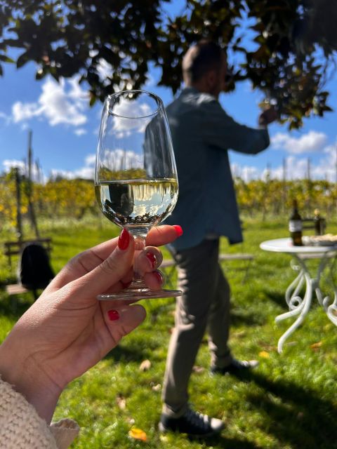 From Rome: Pasta Masterclass & Wine Tour in the Vineyard - Afternoon Relaxation and Exploring Frascati Town