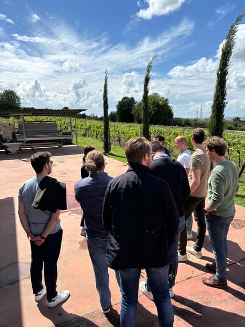 From Rome: tasting tour in cellar immersed between vineyards - The Flavors of Frascati: Wines and Local Delicacies