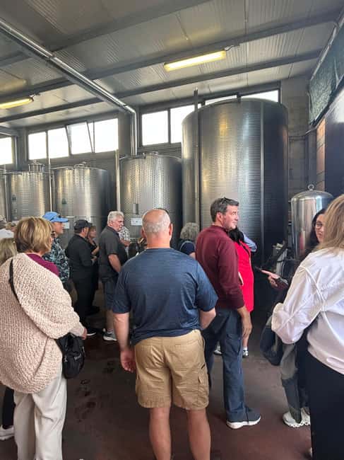 From Rome: tasting tour in cellar immersed between vineyards - The Authentic Experience of Lazio’s Winemaking Heritage