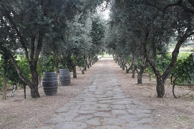 From Rome to the Castles: Private 3-Hour Wine Tasting Tour - The Unique Charm of a Family-Owned Vineyard