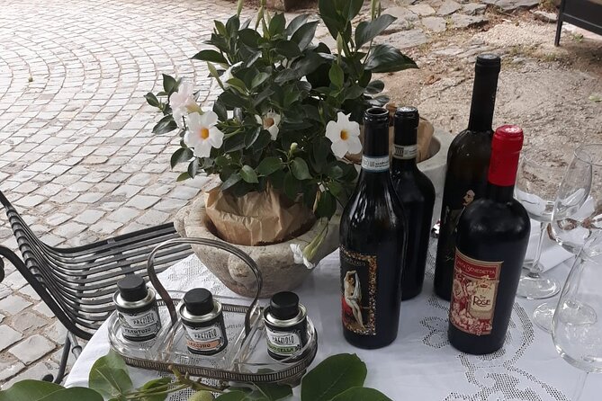 From Rome to the Castles: Private 3-Hour Wine Tasting Tour - Logistics and Convenience of the Tour