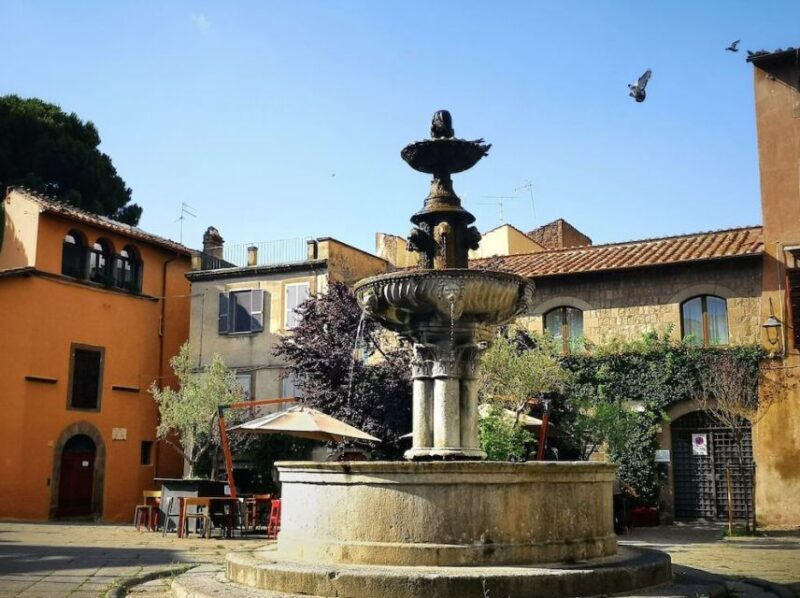 From Rome:Private Day Trip to Bracciano, Caprarola & Viterbo - Practical Details: Logistics and Comfort