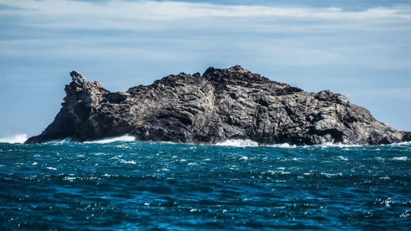 From Roses: Adventure in Cap de Creus: Discover and Swim in a Wild Cove - Key Points