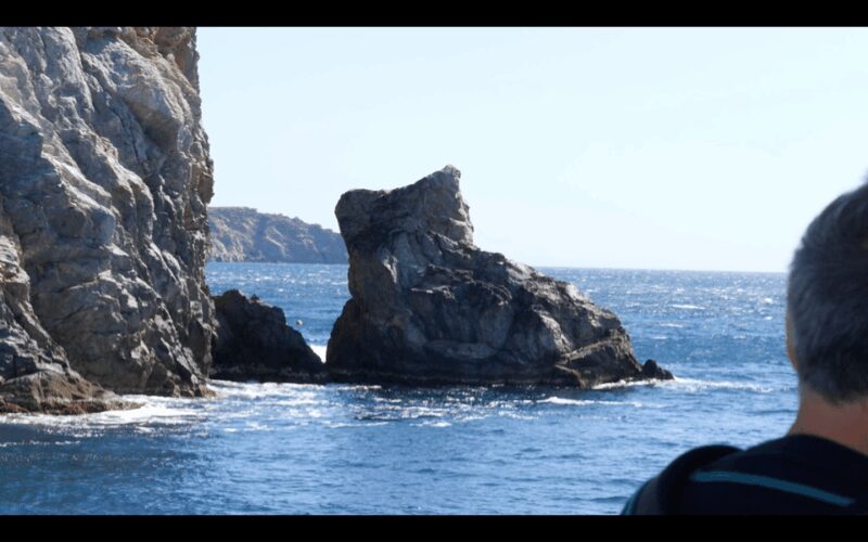 From Roses: Cadaqués Catalonian Coast Boat Tour - Visiting Salvador Dalí’s House in Portlligat