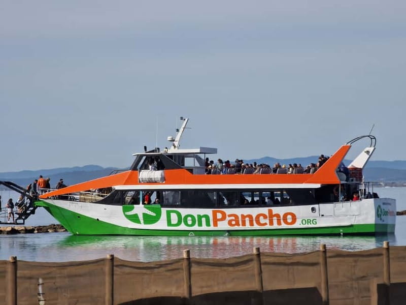 From Roses: Cruise on Costa Brava to Cadaqués - Discover the Scenic Boat Journey from Roses to Cadaqués