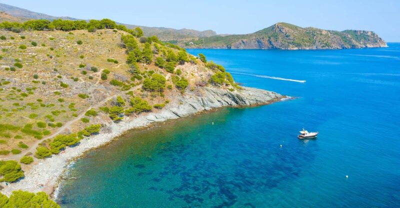 From Roses: Medes Islands Boat Tour with El Estartit Visit - Key Points