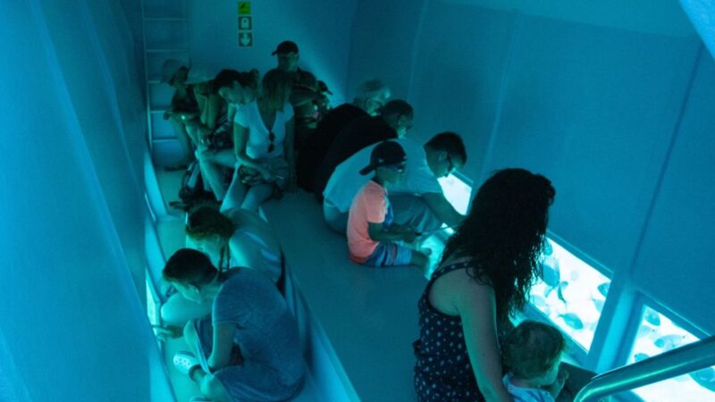 From Roses: Medes Islands Boat Tour with El Estartit Visit - Meeting Point and Ease of Access