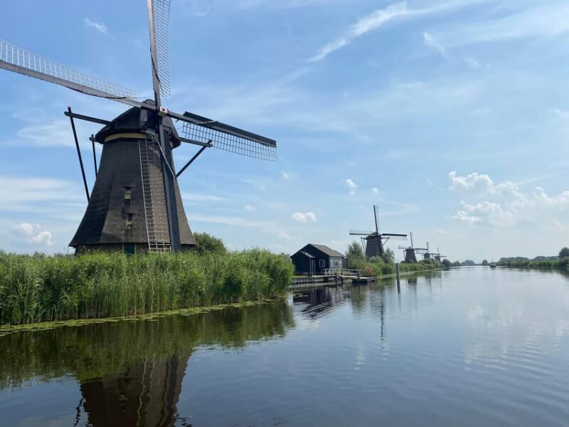 From Rotterdam: Kinderdijk, Delft & The Hague Private Tour - Key Points