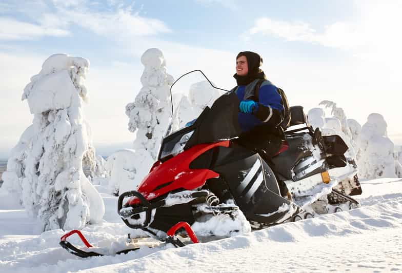 From Rovaniemi: 2-Hour Snowmobile Safari - Key Points