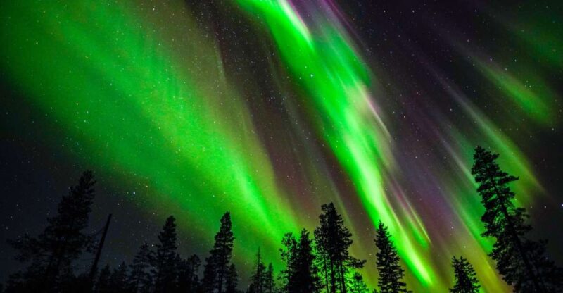 From Rovaniemi: Family-Friendly Northern Lights Tour - Practical Details and Logistics