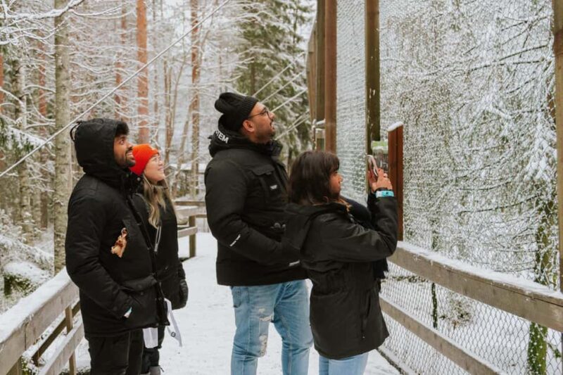 From Rovaniemi: Family Friendly Visit to Ranua Wildlife Park - Small Group Tours with Personalized Attention