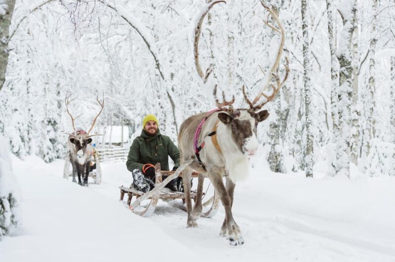 From Rovaniemi: Husky and Reindeer farm with sled ride - Exciting Arctic Adventure Combining Huskies and Reindeer